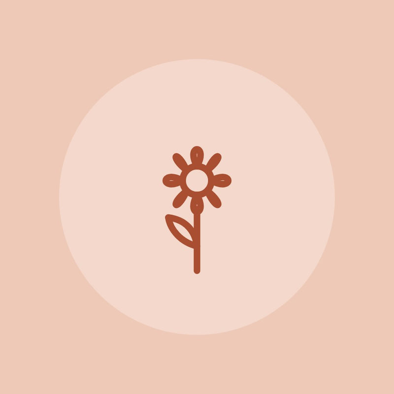 Flower illustration