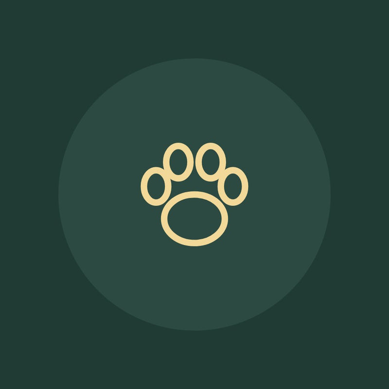 Paw print illustration
