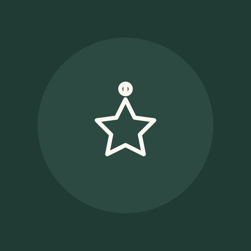 Star ornament illustration
